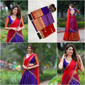 Embroidered butterfly net dupatta with zari
