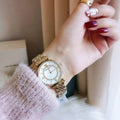 Emporio Armani AR1908 Mother of Pearl Dial Watch