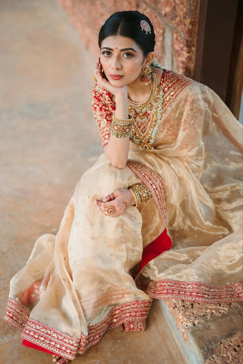 Embroidered saree with lace border and blouse piece